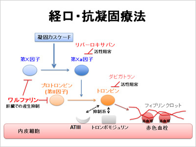 大道学館コラム第3回 - 医療情報│大道学館『臨牀と研究』（臨床と研究）のウェブサイト - 臨床と研究